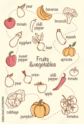 Vector fruits and vegetables vintage food illustration