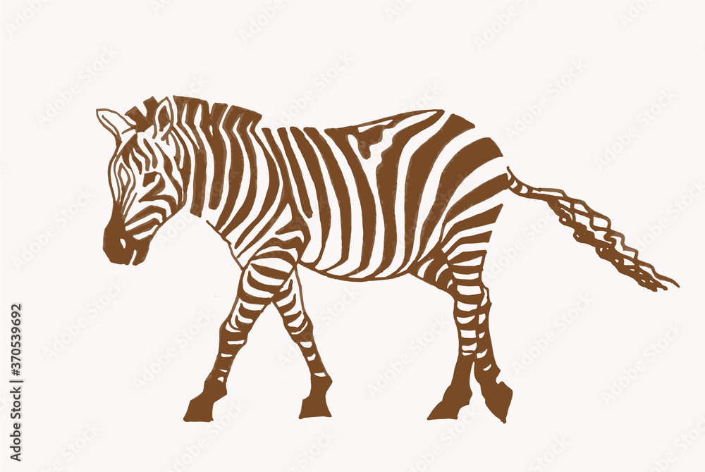Obraz premium Hand-drawn vector zebra, vintage illustration