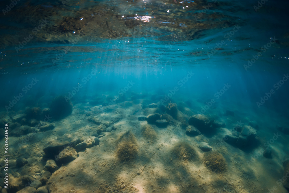 Underwater view with stones and seaweed in transparent sea. Sunlight in ocean