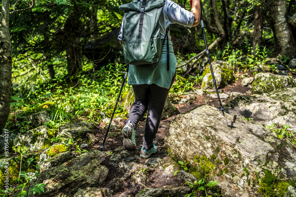 Group of people go hiking in wooded and hilly area. Rear view of woman engaged in nordic walking on rocky path. Group of people go hiking in wooded and hilly area. Rear view of woman engaged in nordic walking on rocky path.