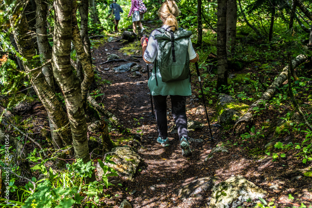 Rear view of woman engaged in nordic walking on rocky path. Rear view of woman engaged in nordic walking on rocky path.