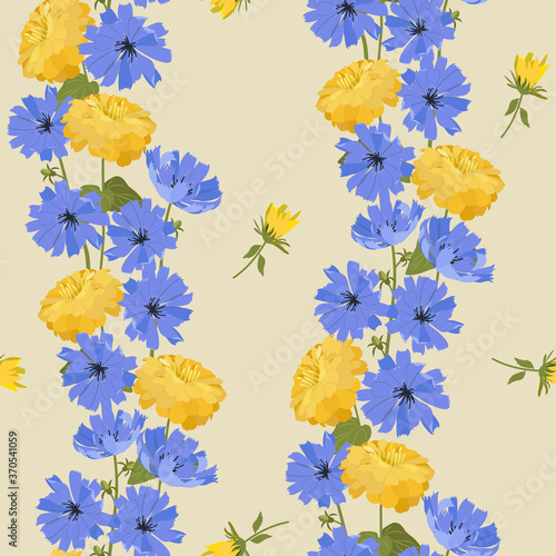 Seamless vector illustration with blue flowers of chicory and chrysanthemum