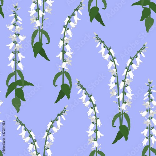 Seamless vector illustration with campanula