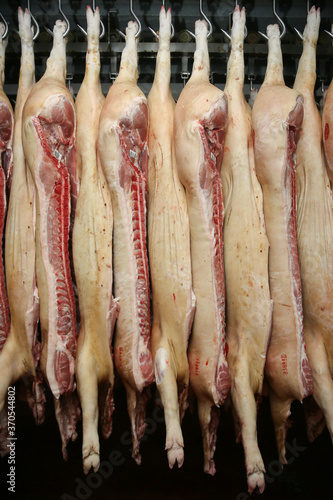 фотографія Pork halves, freshly slaughtered, hang in the cold room of a slaughter house