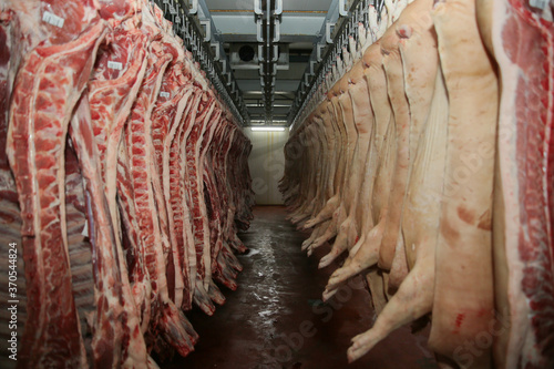 The meat factory. Pork hanging on hooks. Pork carcasses in the workshop of butchers. Industrial processing of pork.