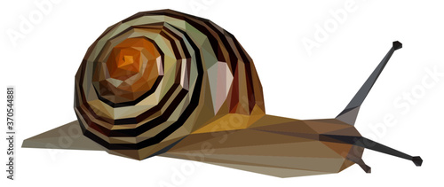 Lowpoly Snail Vector Illustration
