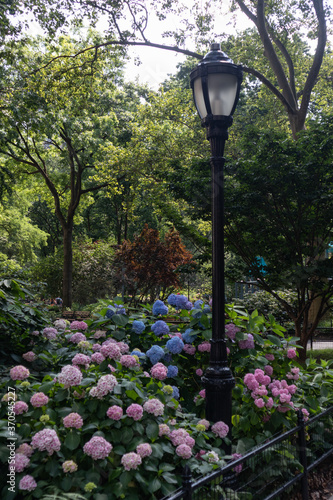 Madison Square Park Street Light with Colorful Flowers during Summer in New York City