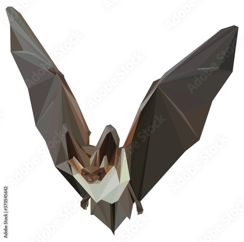 Lowpoly Greater Horseshoe Bat Vector Illustration photo