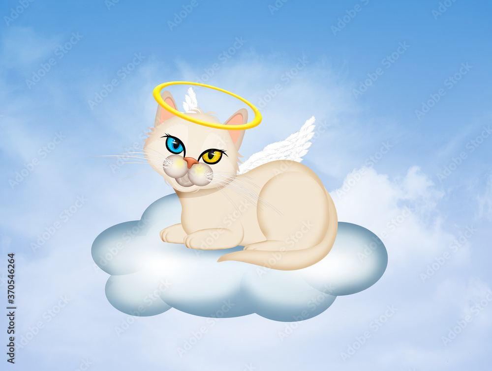 dead little angel kitten in paradise