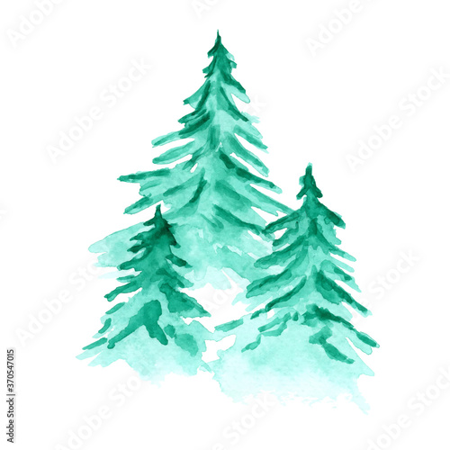 Beautiful vector watercolor background with green coniferous fir forest. Mysterious pine trees illustration for winter Christmas design, isolated on white background