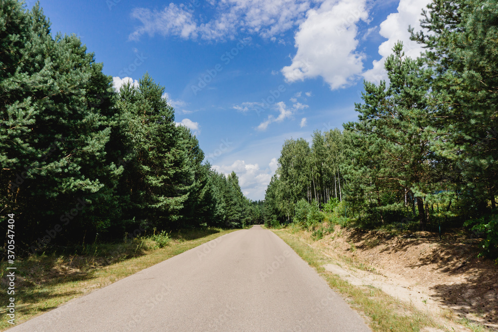 Asphalt road through the forest. Summer coniferous forest travel landscape. Long empty straight road and blue cloudy sky above.