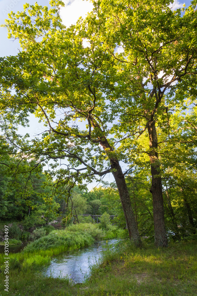 Naklejka premium View of Russian nature