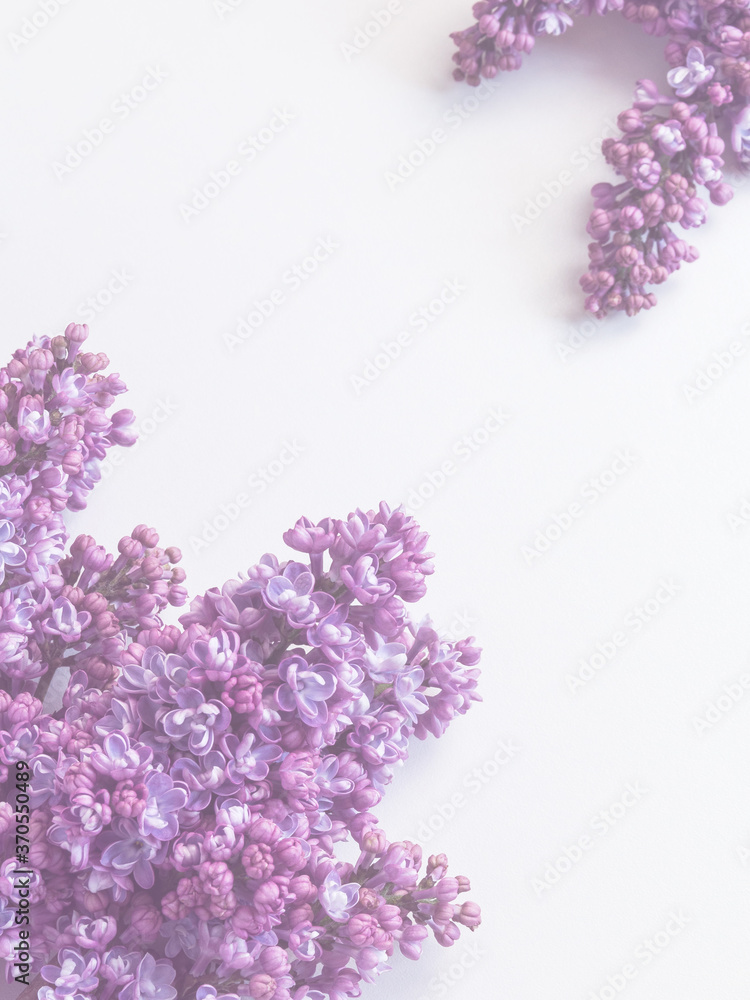 Obraz premium lilac flowers on a light background, copy space