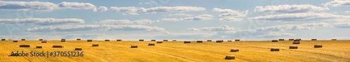 Rural landscape, panorama, banner - view of the harvested wheat field in the rays of the summer sun