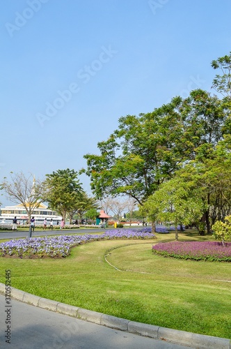 flower garden in country Thailand