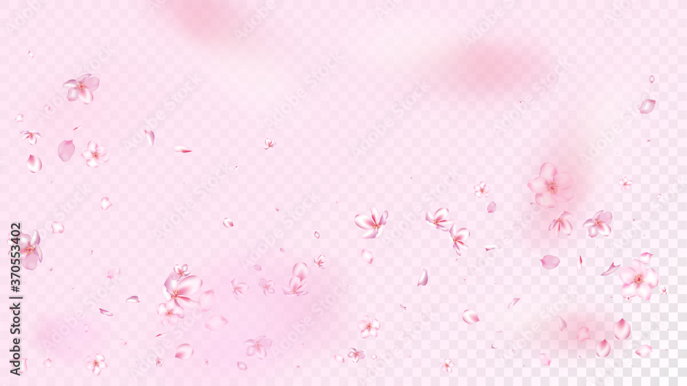Nice Sakura Blossom Isolated Vector. Beautiful Flying 3d Petals Wedding Border. Japanese Bokeh Flowers Illustration. Valentine, Mother's Day Tender Nice Sakura Blossom Isolated on Rose