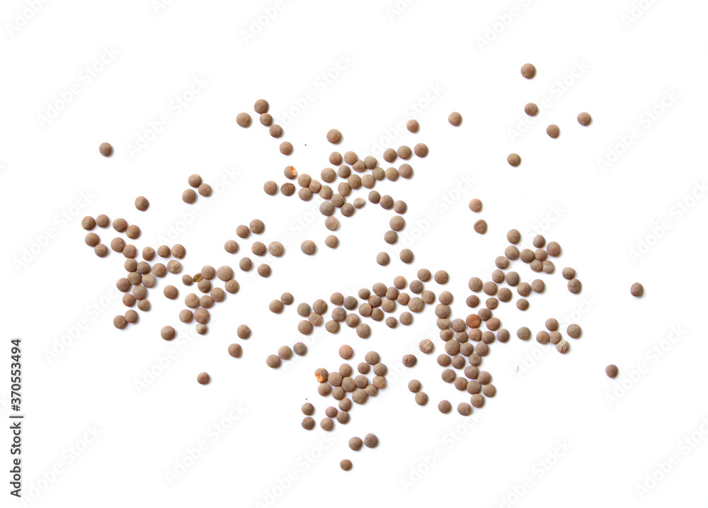 Lentils isolated on white background . bean. soy Lentils isolated on white background . bean. soy