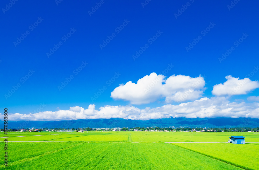夏の信州　安曇野の田園風景