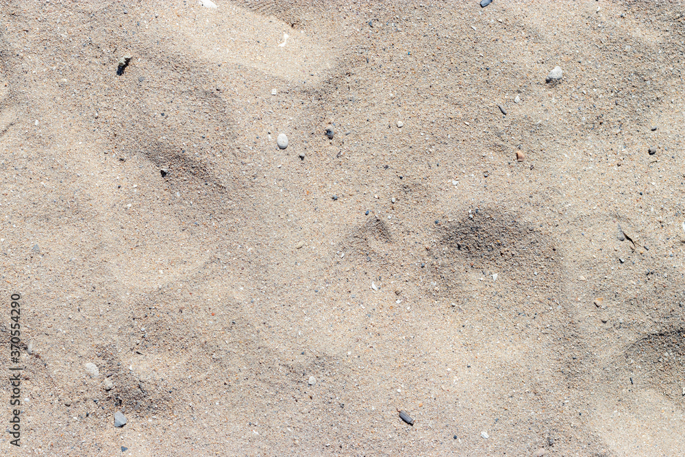 Sable Sable