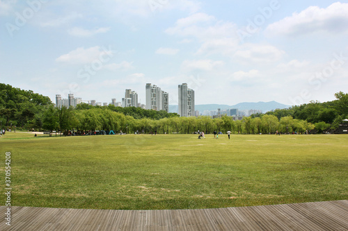 Old hardwood decking or flooring and plant in park . green grass