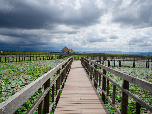 The bridge walkway that costruct in the lotus pond