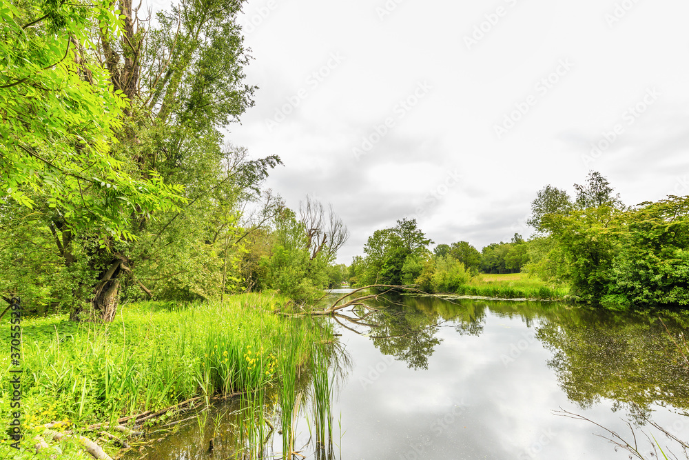 Gorgeous nature reserve Kromme Aar with natural banks trees with important ecological values in the spring against gray sky and beautiful reflection in the river water Gorgeous nature reserve Kromme Aar with natural banks trees with important ecological values in the spring against gray sky and beautiful reflection in the river water