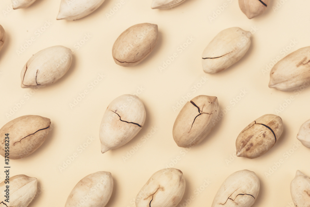 Pecan Nuts Pattern Ton View Horizontal