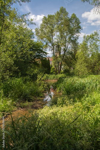 kleiner park in winnweiler photo