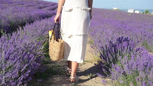 Woman in lavender flowers field at sunset in white dress and hat