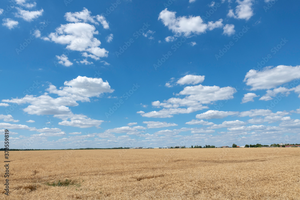 bleu sky 青空