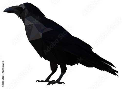 Lowpoly Raven Vector Illustration