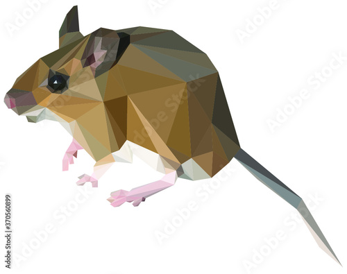 Lowpoly Wood-Mouse Vector Illustration