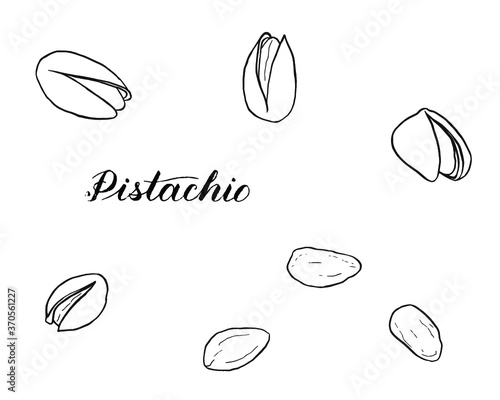 A black and white card with hand drawn pistachios isolated on white. Coloring book