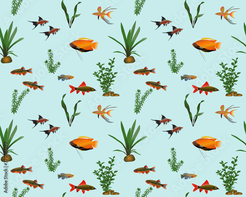 Seamless pattern with freshwater fishes and water plants in colour image. Species of fish: gourami, swordtail, danio, rainbowfish, rainbow shark labeo, nothobranchius