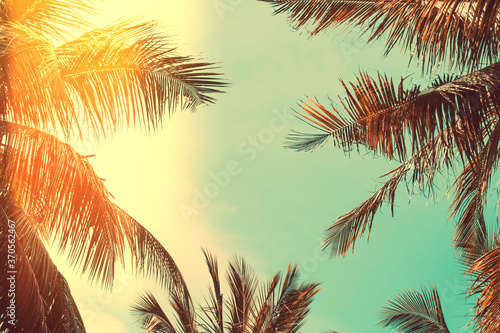Copy space of silhouette tropical palm tree on sunset sky with bokeh light leak abstract background. Summer vacation and nature travel adventure concept. © tonktiti