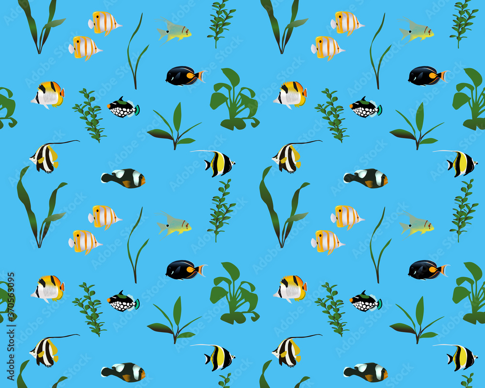 Seamless pattern with marine fishes and water plants in colour image. Species of fish: butterflyfish, triggerfish, surgeonfish (tang), clownfish, bannerfish, moorish idol, sailfin snapper (sea bream)