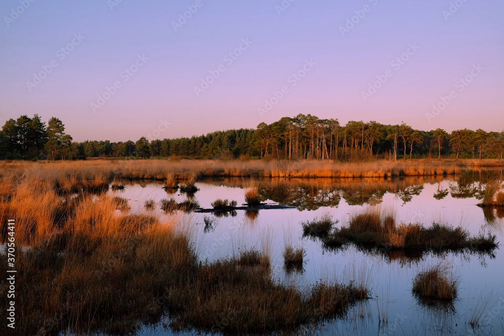 Pink sunset skies over the bog pools at Thursley Common, Surrey, UK