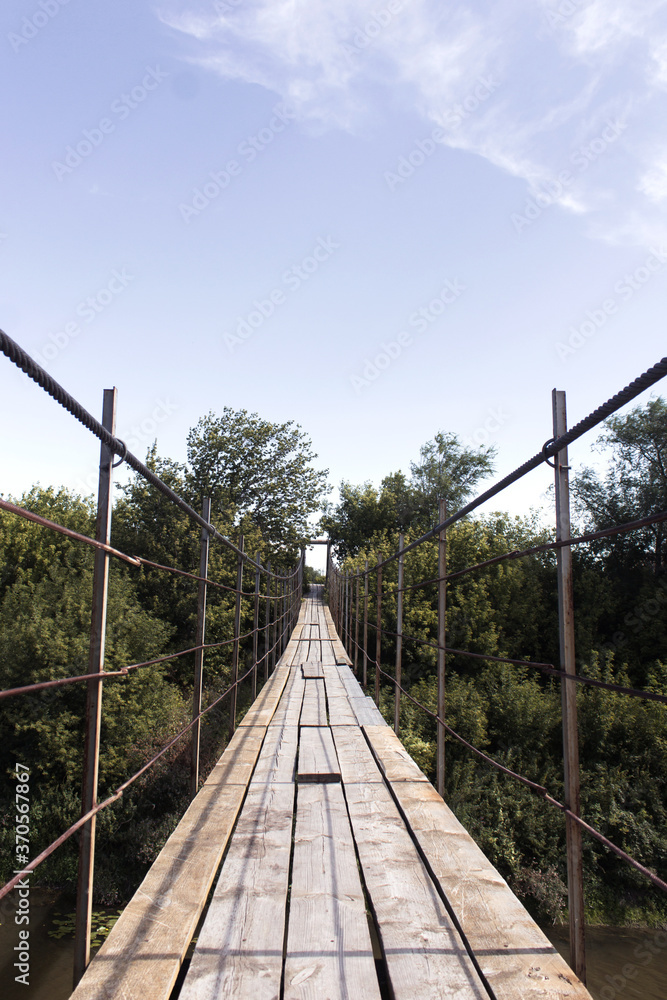 Fototapeta premium Old wooden bridge above the river among the forest. Summer forest.