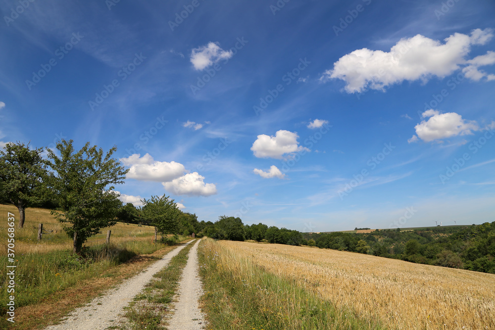 Summer landscape with blue sky and clouds Summer landscape with blue sky and clouds