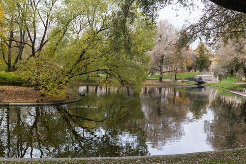 Autumn park with small pond landscape
