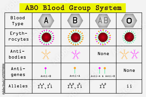 ABO blood group system and allele of ABO blood group. classification of blood group.