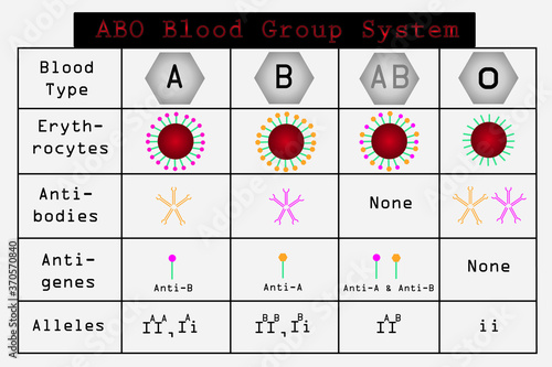 ABO blood group system and allele of ABO blood group. classification of blood group.