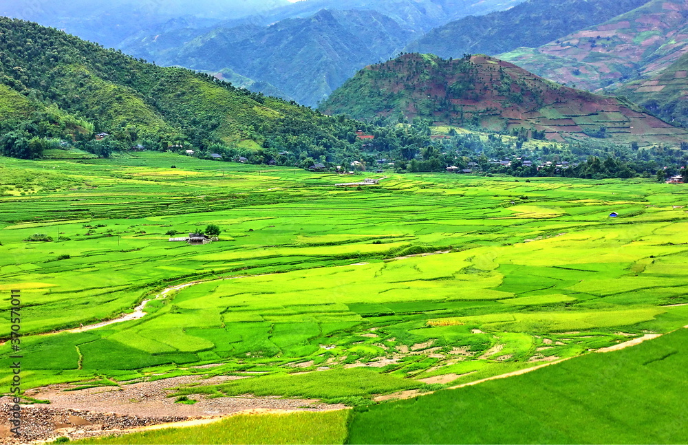 Mu Cang CHAI rice fields ,rice terrace in rainy season after rain .  nature green area best environment SAPA  VIETNAM .