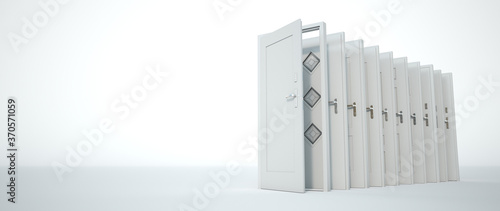 White Doors choice