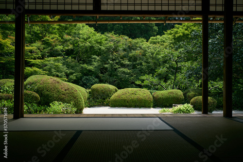 京都の夏の寺院