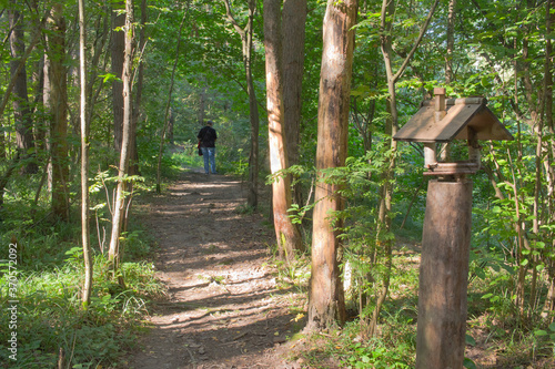 A path in the morning summer forest, in the foreground a bird feeder © Сергей Говоров