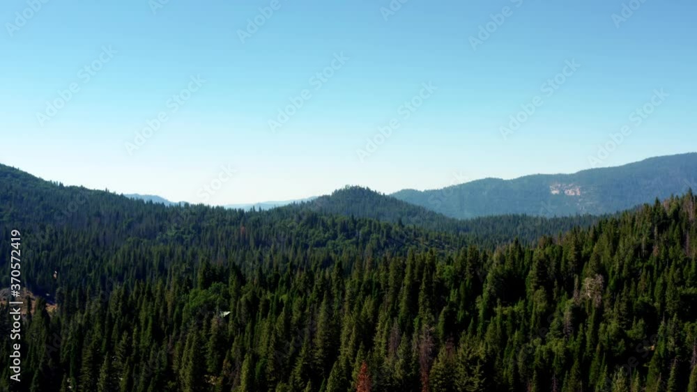 A descending aerial drone shot of a beautiful pine tree forest near Yosemite on a warm summer day in California A descending aerial drone shot of a beautiful pine tree forest near Yosemite on a warm summer day in California