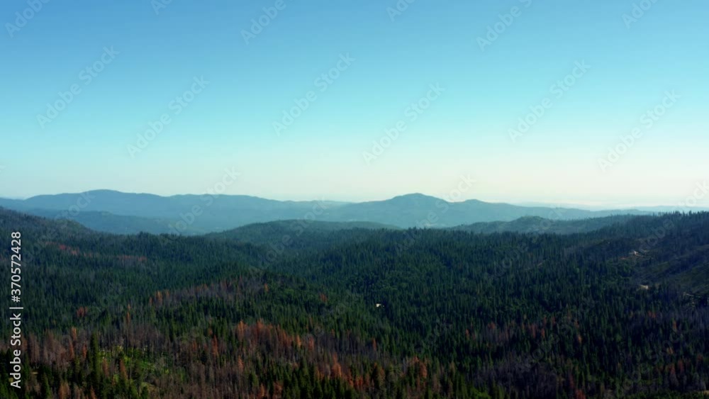 A wide aerial drone shot of a beautiful pine tree forest near Yosemite on a warm summer day in California A wide aerial drone shot of a beautiful pine tree forest near Yosemite on a warm summer day in California