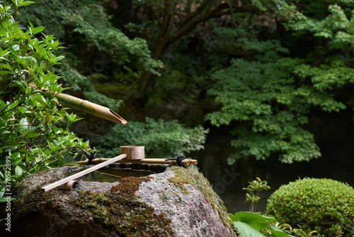 京都の夏の寺院（詩仙堂） photo