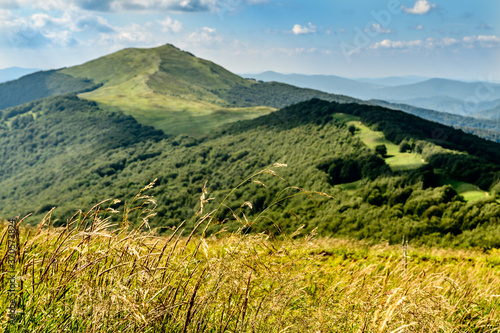 Fototapeta Naklejka Na Ścianę i Meble -  Bieszczady latem